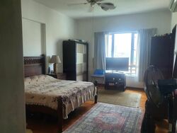 Parkshore (D15), Condominium #539096841